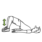 Bridge Exercise for an LCL Tear