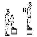 Step-Up Exercise for an LCL Tear